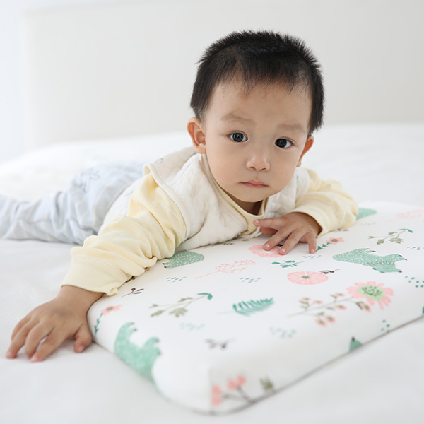 Baby Pillow-P1061