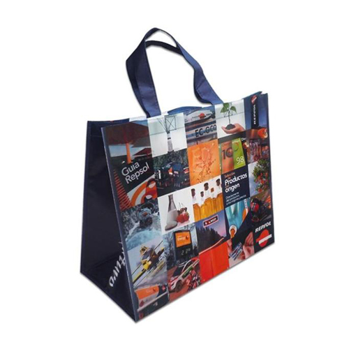 PP Woven Shopping Bag