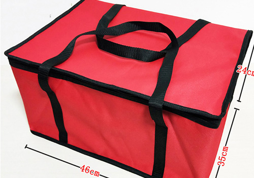 Cooler Bag